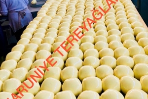 Haruniye Tereyağı Satışı 