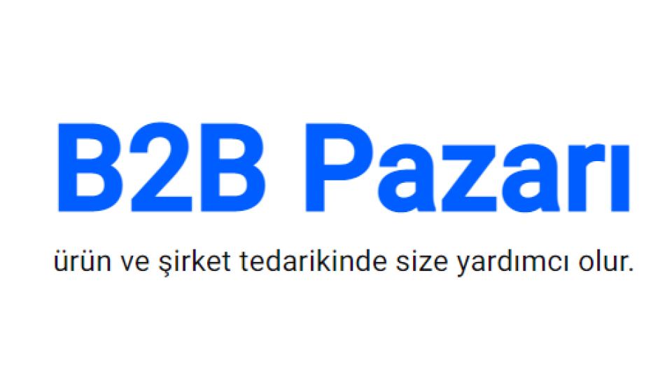 ntb2b portal projesi