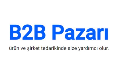 ntb2b portal projesi